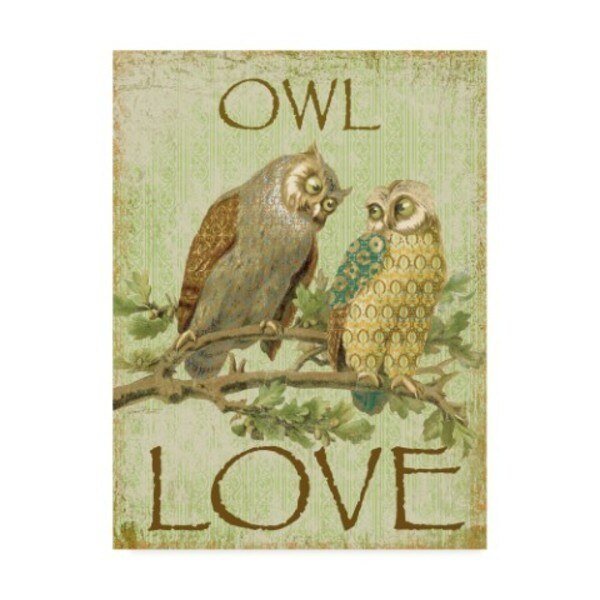 Jean Plout 'Owl Love' Canvas Art, 24x32, Trademark Fine Art, Mfr#: ALI30110-C2432GG